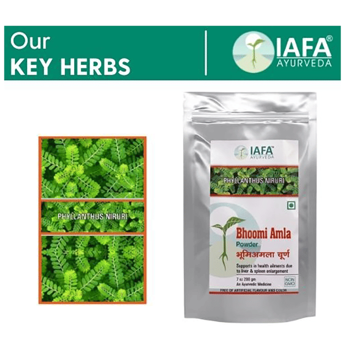 Iafa Ayuveda Bhoomi Amla Powder