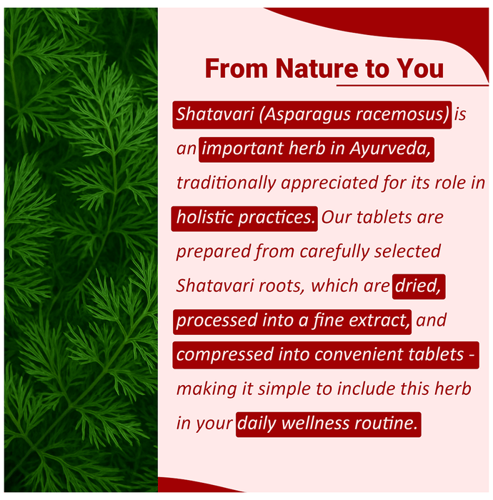 Minature Shatavari Tablet