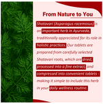 Thumbnail for Minature Shatavari Tablet