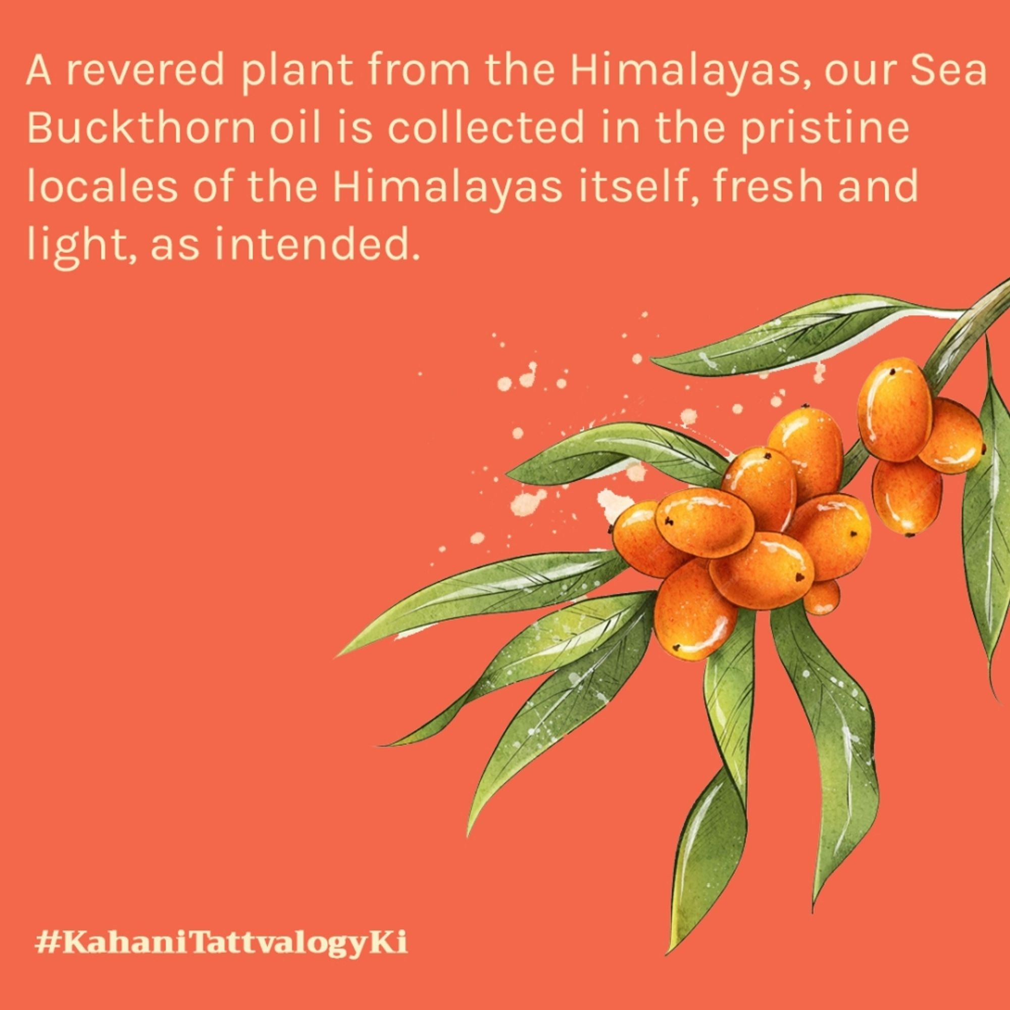 Tattvalogy Himalayan Seabuckthorn Oil - Cold Pressed, Rich in Vitamins E & C, Controls Skin Damage - Distacart
