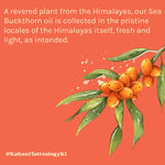 Thumbnail for Tattvalogy Himalayan Seabuckthorn Oil - Cold Pressed, Rich in Vitamins E & C, Controls Skin Damage - Distacart