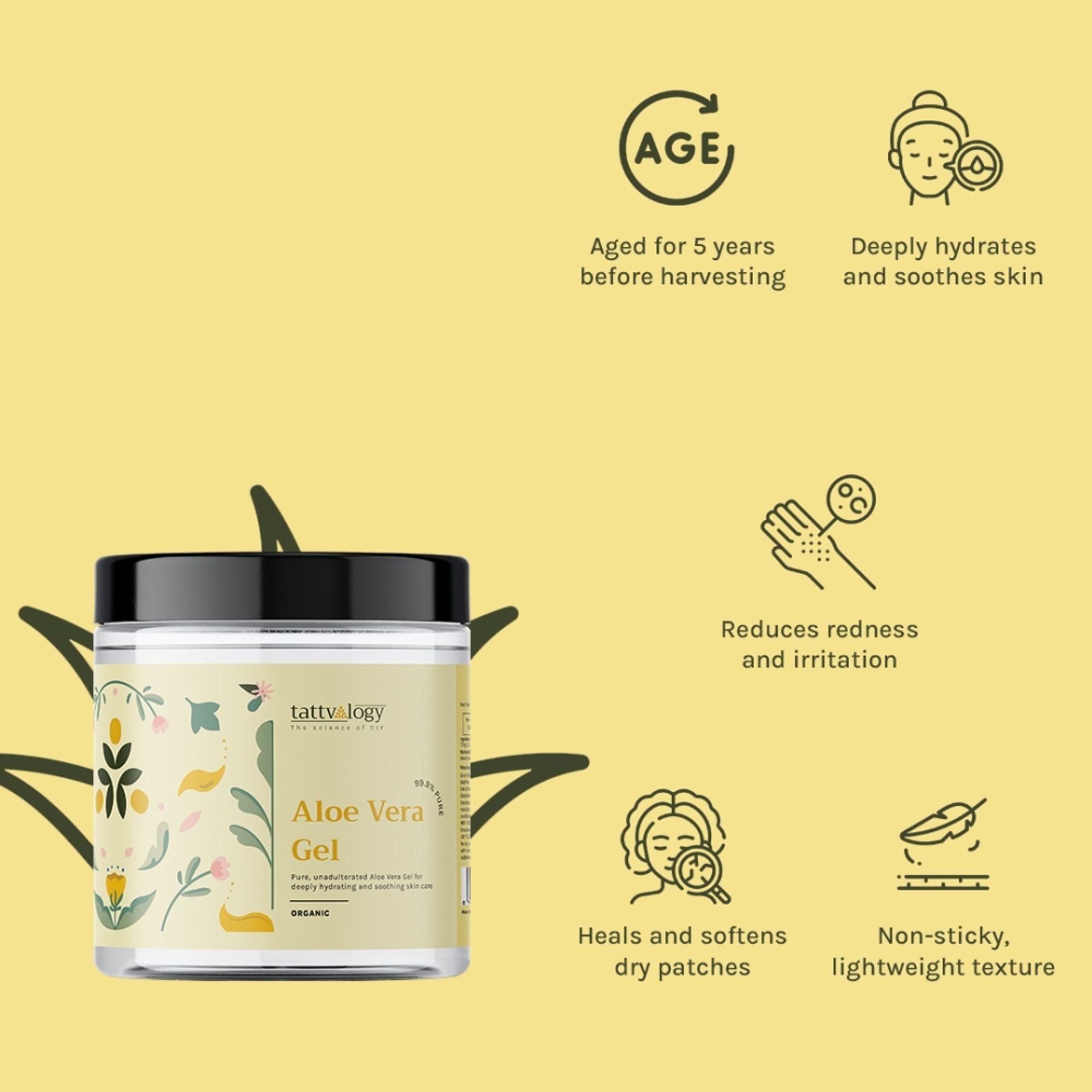 Tattvalogy Aloe Vera Gel - 5 Year Aged, No Glycerine, Preservatives, Color or Fragrance, Fights Acne - Distacart