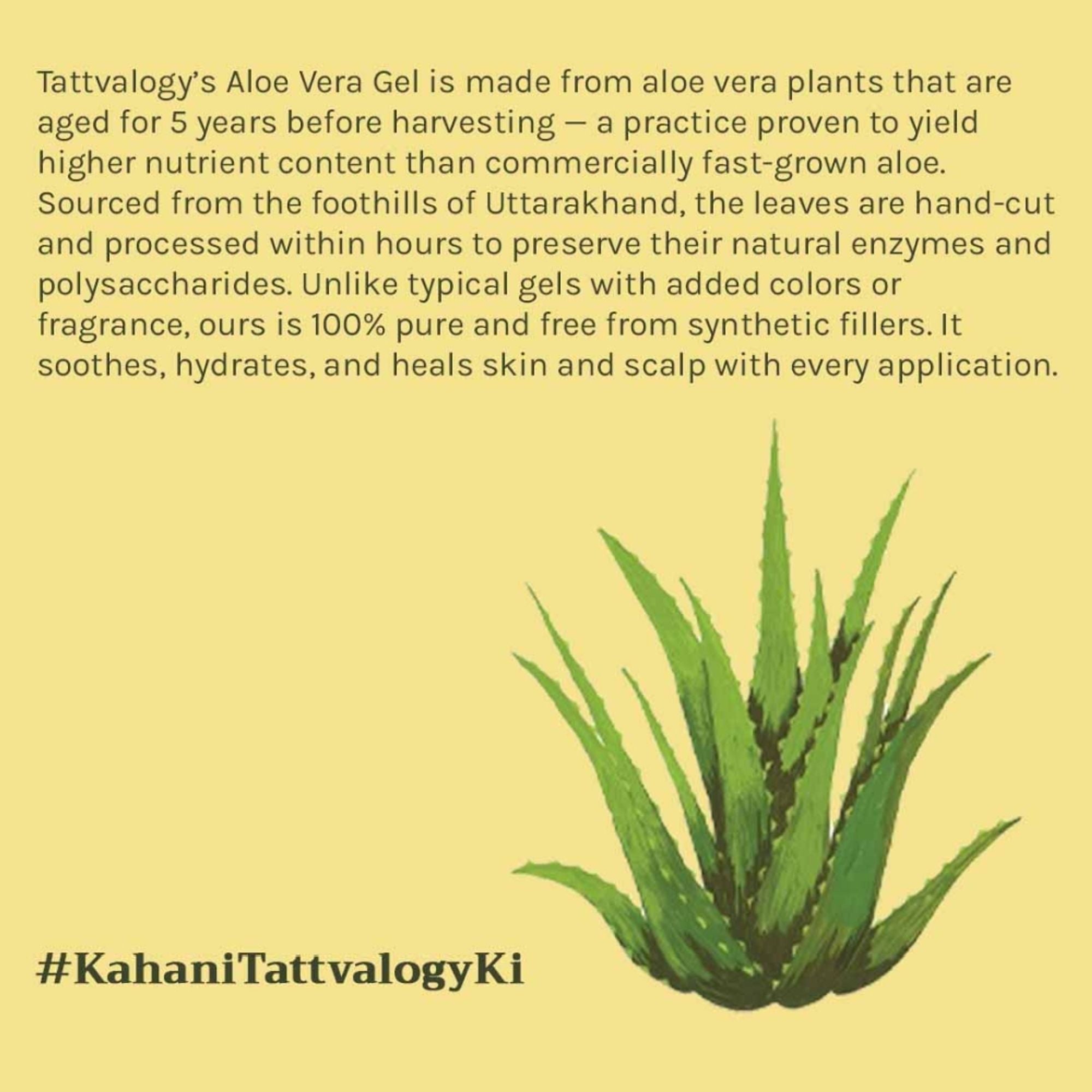 Tattvalogy Aloe Vera Gel - 5 Year Aged, No Glycerine, Preservatives, Color or Fragrance, Fights Acne - Distacart
