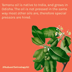 Thumbnail for Tattvalogy Tamanu Oil - Cold Pressed, Reduces Scars & Wrinkles, Boosts Collagen, Ideal for Oily Skin - Distacart