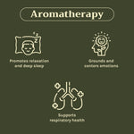Thumbnail for Tattvalogy Cedarwood Essential Oil - Mosquito Repellent, Antiseptic, Warm Woodsy Fragrance for Calm - Distacart