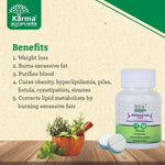 Thumbnail for Ayukarma Ayurveda Medrasayan Vati
