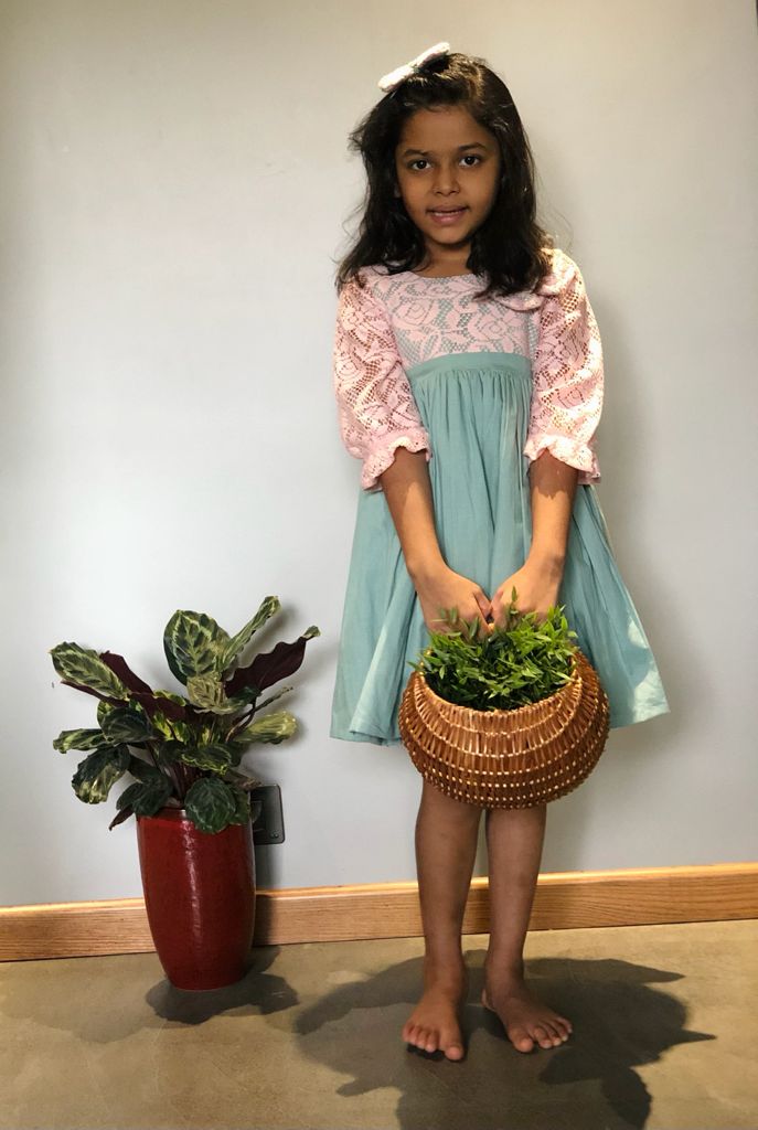 ArthLife Green And Pink Net Dress - Distacart