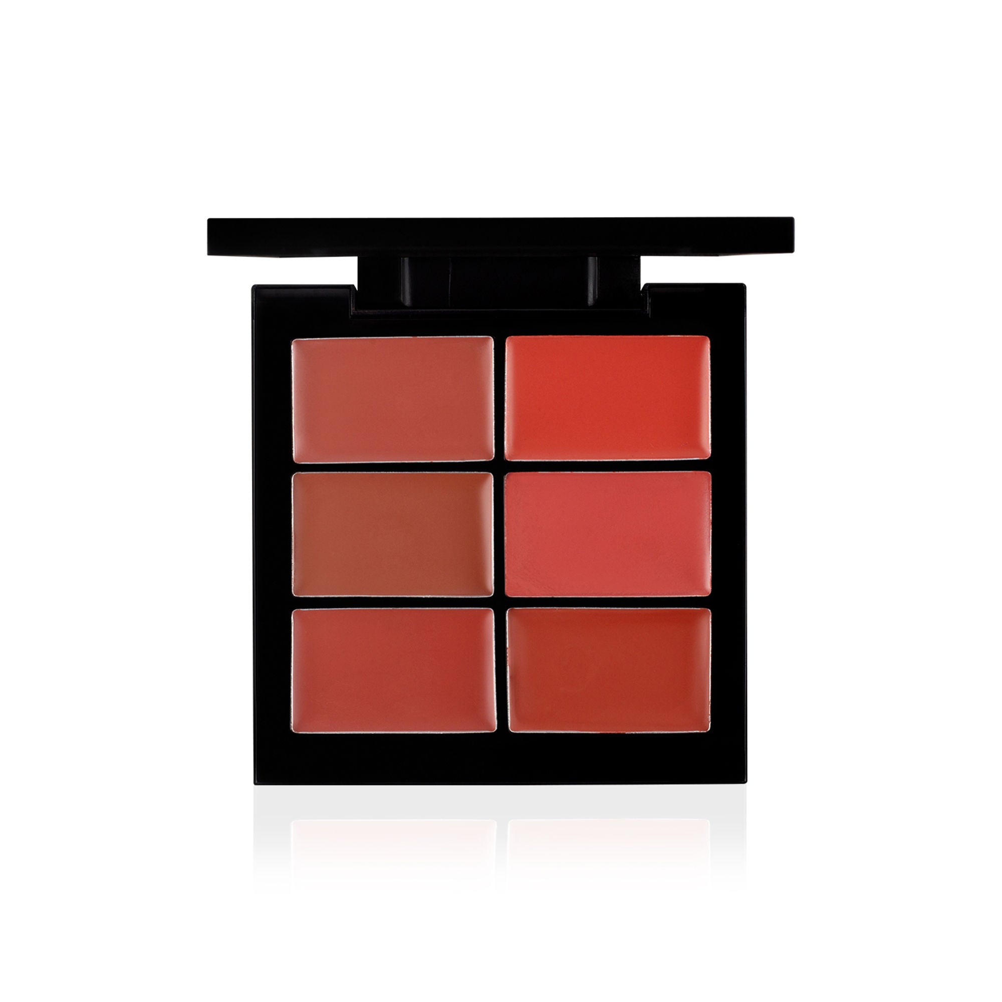 PAC Lip Palette Nude - One Swipe Intense Color Payoff, Insanely Pigmented, Comfortable Long Wear