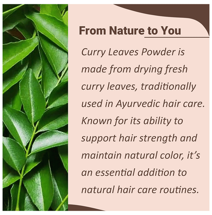 Minature Curry Leaves Powder