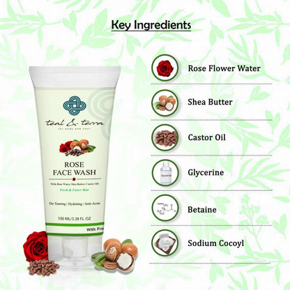 Teal and Terra Rose Face Wash - Dista
