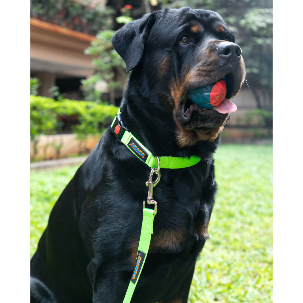 Waggety Dog Leash - Durable Green Polyester, Length - 5Ft, Comfortable Grip, Stylish Pet Leash for Dogs - Dista