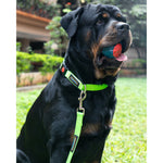 Thumbnail for Waggety Dog Leash - Durable Green Polyester, Length - 5Ft, Comfortable Grip, Stylish Pet Leash for Dogs