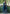 Jyoti Fashion Blue Sequence with Thread Zari Embroidery Georgette Lehenga Choli with Dupatta - Distacart