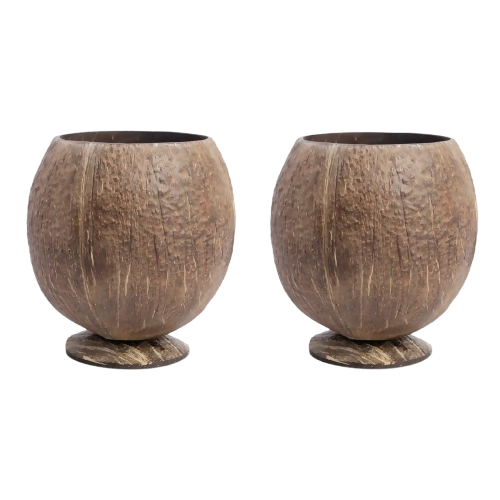 Thenga Handmade Large Coconut Shell Cups - Dista
