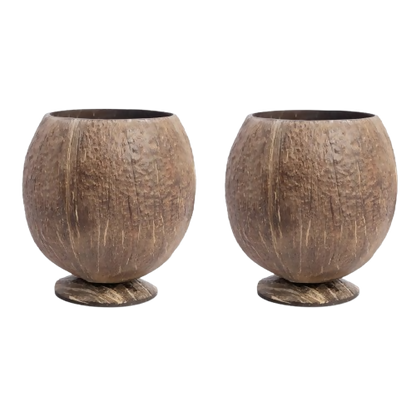 Thenga Handmade Large Coconut Shell Cups - Dista