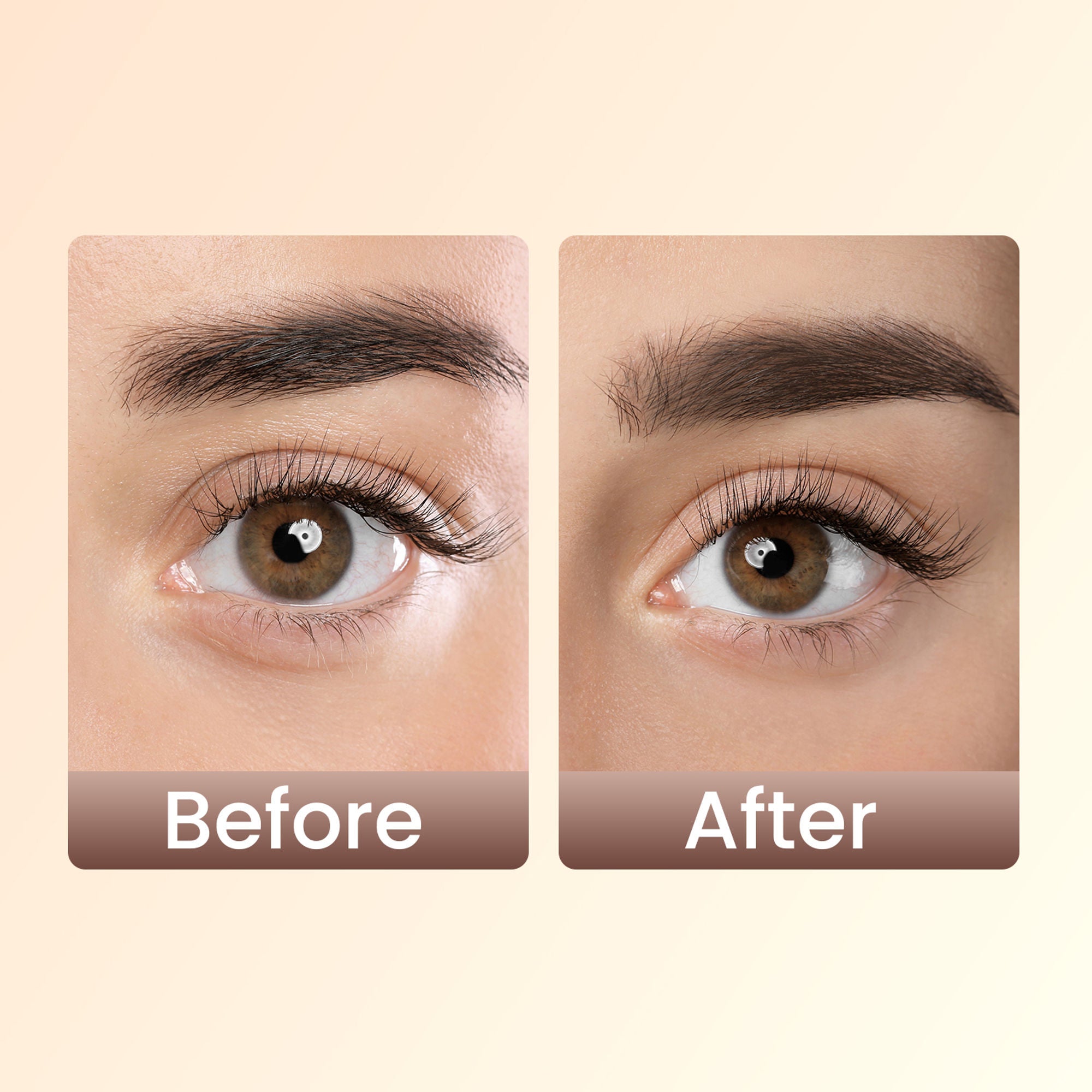 Swiss Beauty Brow Definer Pencil - 02 Coco Brown - Distacart