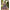 Jyoti Fashion Outstanding Blue Chinon 3MM, 9MM Sequins with Thread & Jari Embroidery Lehenga Choli with Dupatta - Distacart