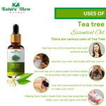 Thumbnail for Nature Glow Herbal Tea Tree & Peppermint Essential Oil Combo - Distacart