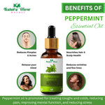 Thumbnail for Nature Glow Herbal Tea Tree & Peppermint Essential Oil Combo - Distacart