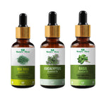 Thumbnail for Nature Glow Herbal Tea Tree & Eucallypatus & Basil Essential Oil Combo - Distacart