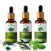 Nature Glow Herbal Tea Tree & Eucallypatus & Basil Essential Oil - Pack Of 3