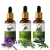 Nature Glow Herbal Lavender & Rosemary & Eucallypatus Essential Oil - Pack Of 3