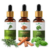 Nature Glow Herbal Rosemary & Sandalwood & Basil Essential Oil - Pack Of 3