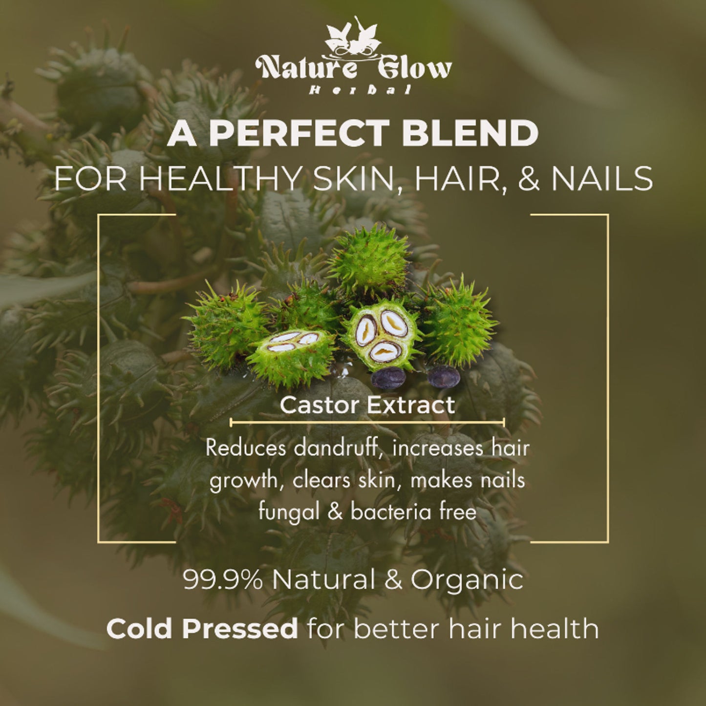 Nature Glow Herbal Castor & Onion With Black Seed Hair Oil Combo - Distacart
