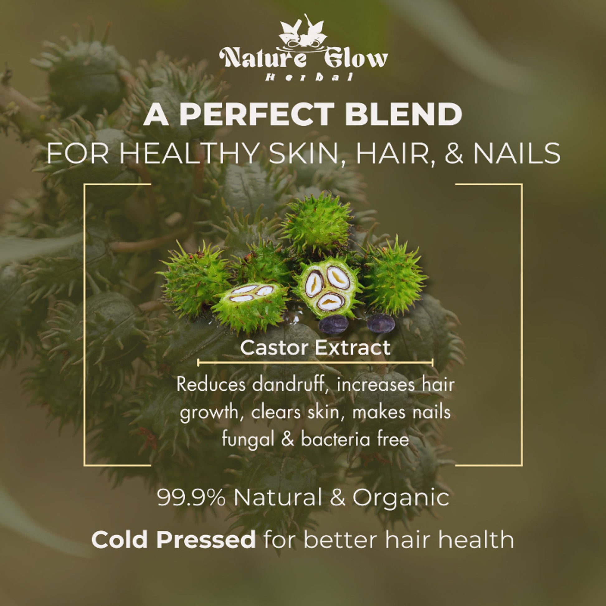 Nature Glow Herbal Castor & Onion With Black Seed Hair Oil Combo - Distacart