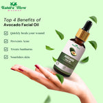 Thumbnail for Nature Glow Herbal Bright Exploring With Nature'S Essence Avocado Facial Oil - Distacart