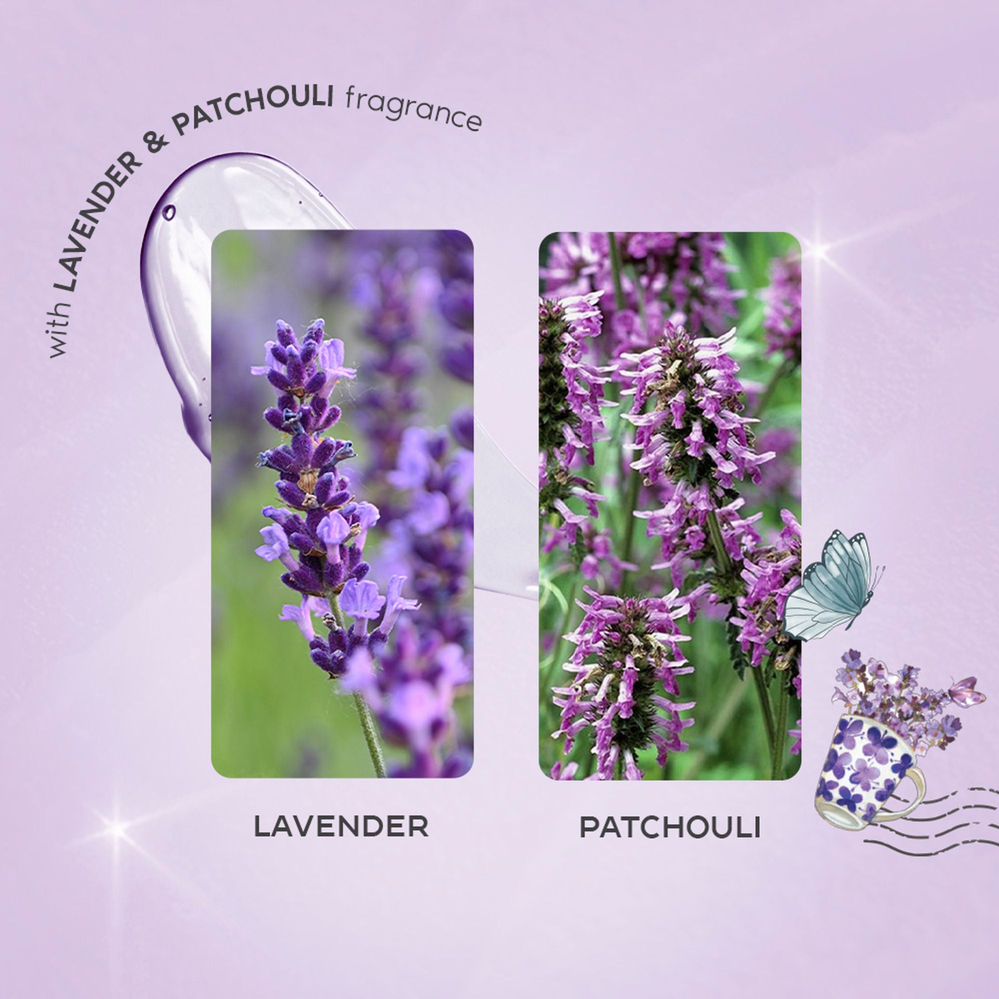Wanderlust Shower Gels - French Lavender - Distacart