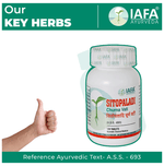 Thumbnail for Iafa Ayuveda Sitopaladi Churna Vati