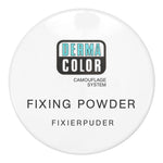 Thumbnail for Kryolan Dermacolor Fixing Powder - P 4 - Distacart