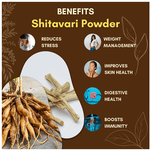Thumbnail for Jaived Ayurveda Shitavari Powder