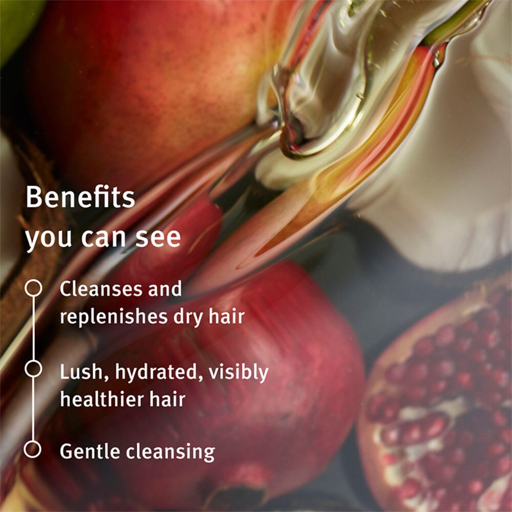 Aveda Nutriplenish Shampoo - Distacart