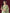 kasee Ethnic Motifs Embellished Net Sarees