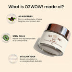 Thumbnail for BiE O2wow!- Oxygenating & Firming Mask - Distacart