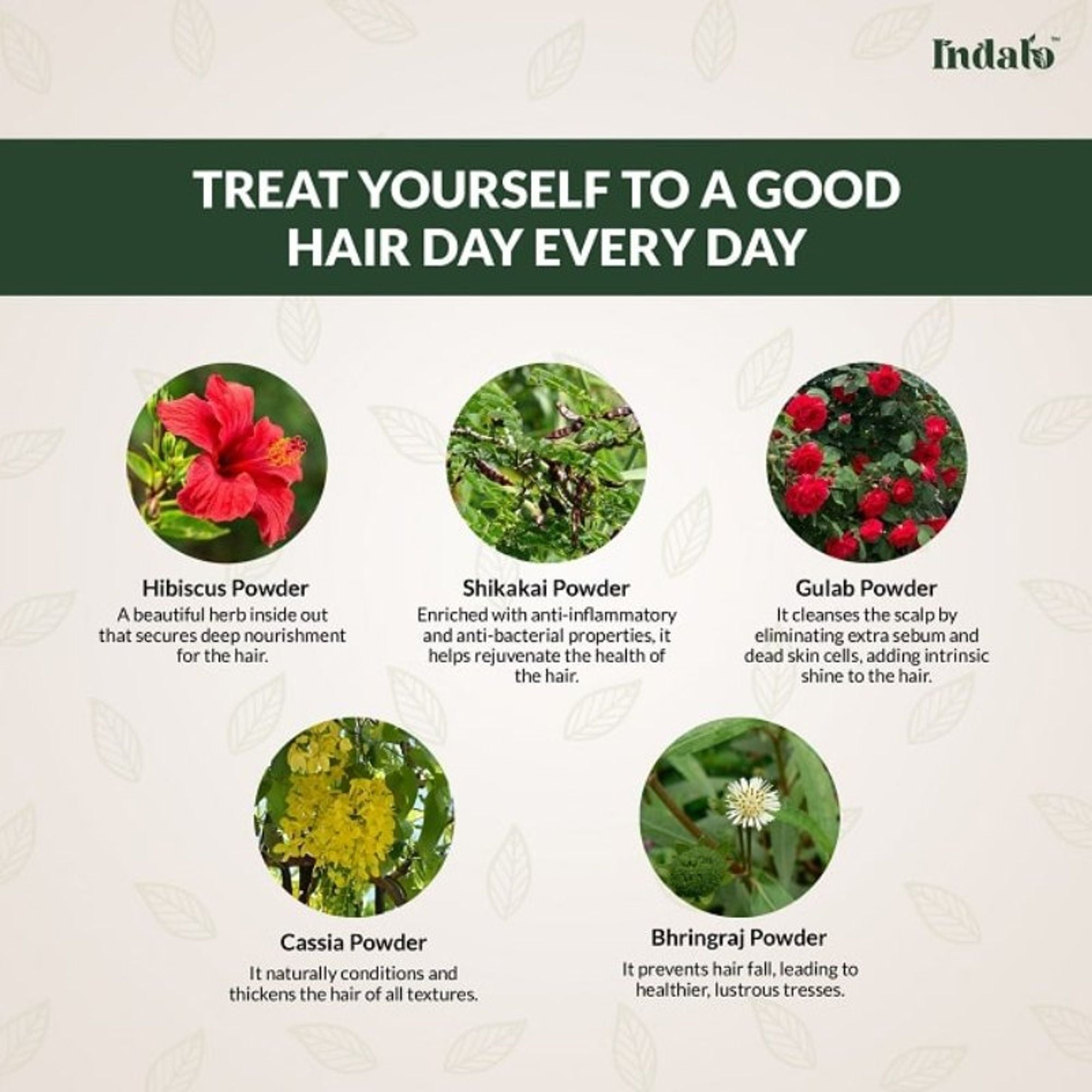 Indalo All-Natural Hair Treatment Pack - Shikakai & Bhringraj - Dista