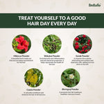 Thumbnail for Indalo All-Natural Hair Treatment Pack - Shikakai & Bhringraj - Dista