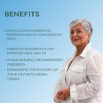 Thumbnail for Tejaswani Herbs and Herbal Products Choti Elaichi Powder - Distacart