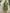 Yufta Cotton Green Embroidered Plus Size Kurta Dupatta Set