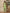 Yufta Cotton Green Pin Tuck Co-Ord Set