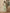 Yufta Cotton Green Summer Leaf Print Co-Ord Set