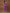 Yufta Cotton Purple Polka Dot Co-Ord Set