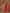Yufta Cotton Rust Anarkali Ethnic Motifs Kurta Dupatta Set