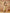 Yufta Cotton Yellow Sleeveless Kurta Dupatta Set