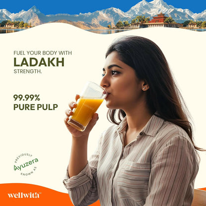 Wellwith Himalayan Sea Buckthorn Pulp - Distacart