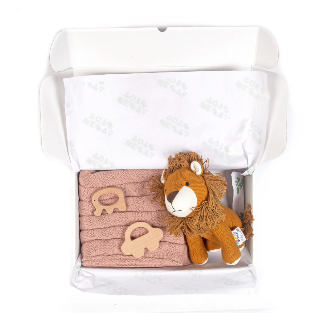 New Born Gift - Blanket, Lion, Elephant Teether and Car Teether 7