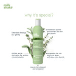 Thumbnail for Milkshake Energizing Blend Shampoo For Hair Loss, Fine Hair With Organic Rosemary & Sage