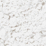 Thumbnail for Kryolan Translucent Powder - Tl 1 - Distacart